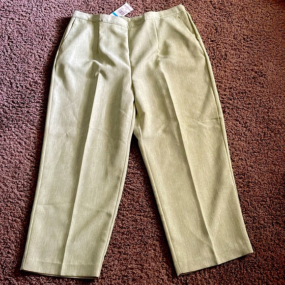 NWTs Alfred Dunner Avocado proportioned short pants w/elastic back waist Sz 20W - Picture 1 of 8